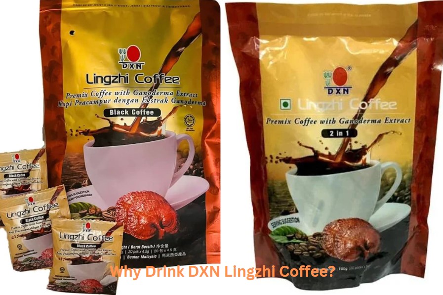 Dxn lingzhi coffee
